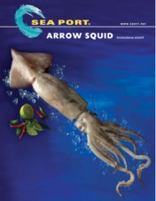 Arrow Squid