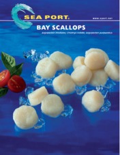 Bay Scallops