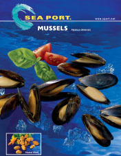 Blue Mussels