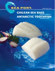 Chilean Sea Bass and Antarctic Toothfish