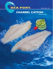 Channel Catfish