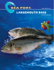 Largemouth Bass