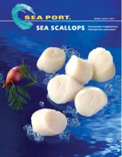Sea Scallops