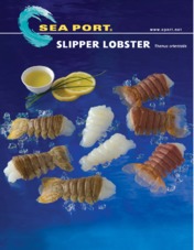 Slipper Lobster