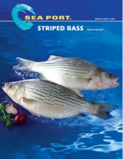 Striped Bass