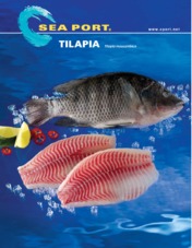 Tilapia