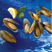 Greenshell Mussels