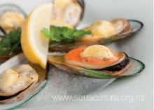 NZ Greenshell™ Mussels with garlic butter (Serves 2)