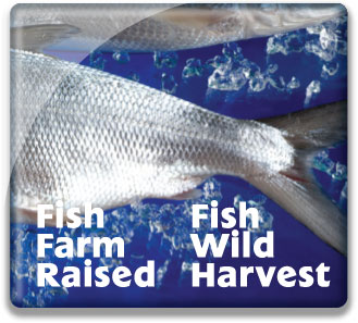 Fish Farm Raised & Fish Wild Harvest